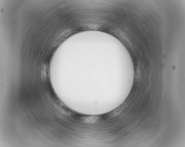 X0000085260122200704092124