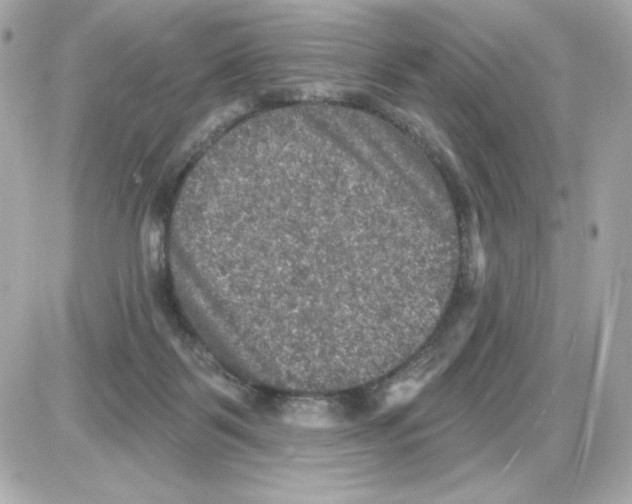 X0000085260123200704092124