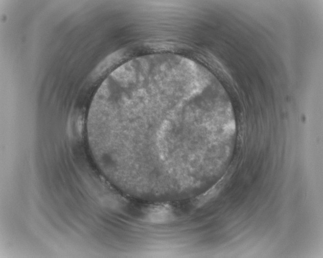 X0000085260124200704092124