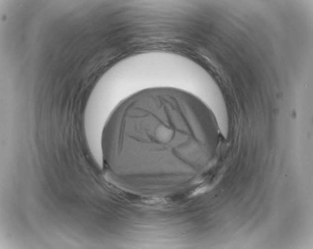 X0000085260125200704092124