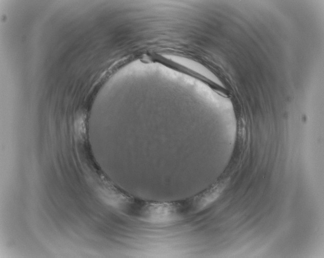 X0000085260127200704092124