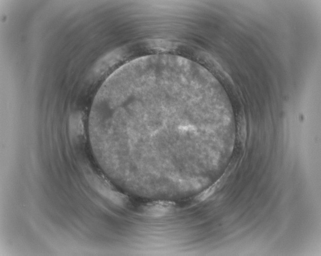 X0000085260128200704092124