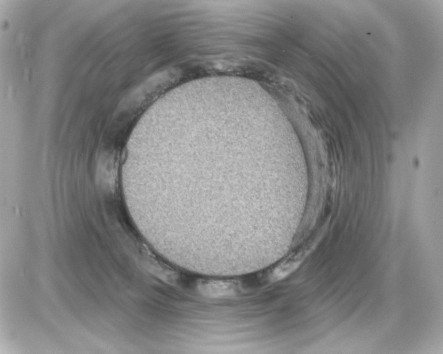 X0000085260129200704092124