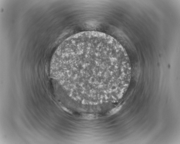 X0000085260131200704092124