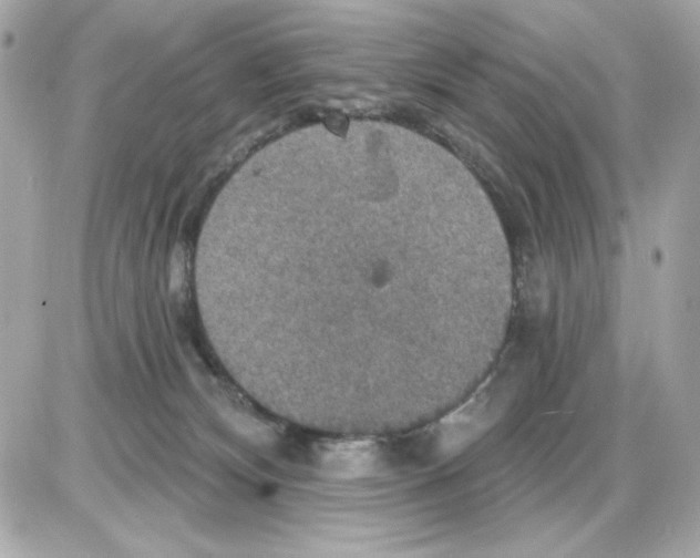 X0000085260132200704092124