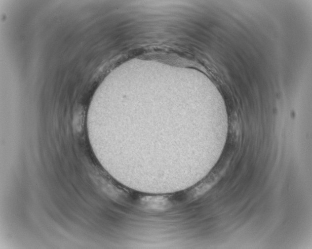 X0000085260133200704092124