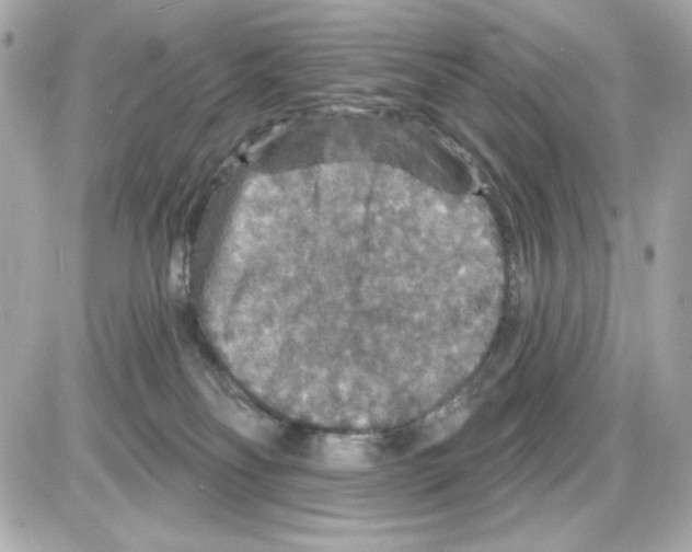 X0000085260134200704092124