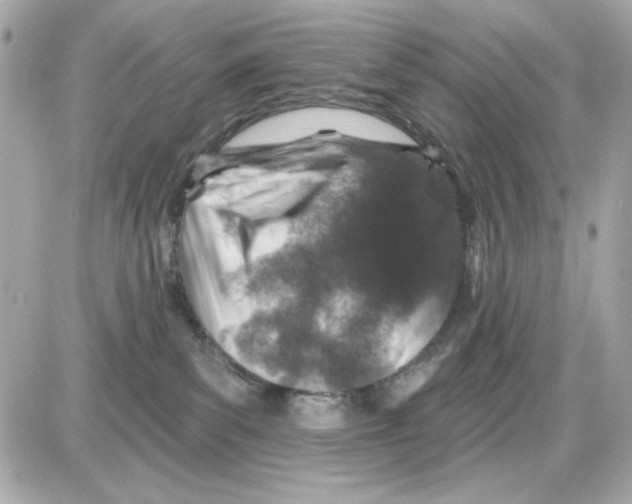 X0000085260139200704092124