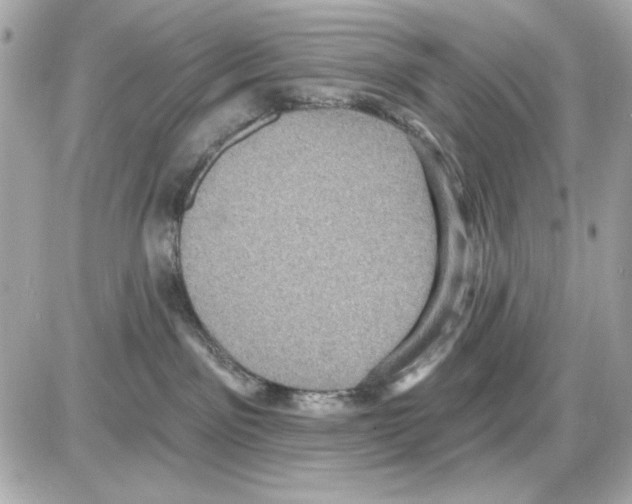 X0000085260141200704092124