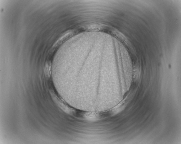 X0000085260142200704092124