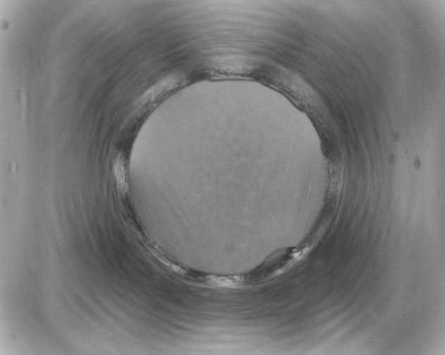 X0000085260143200704092124