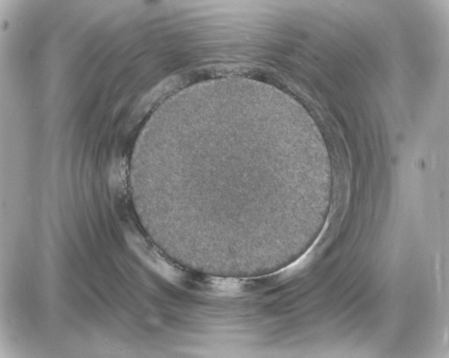 X0000085260144200704092124