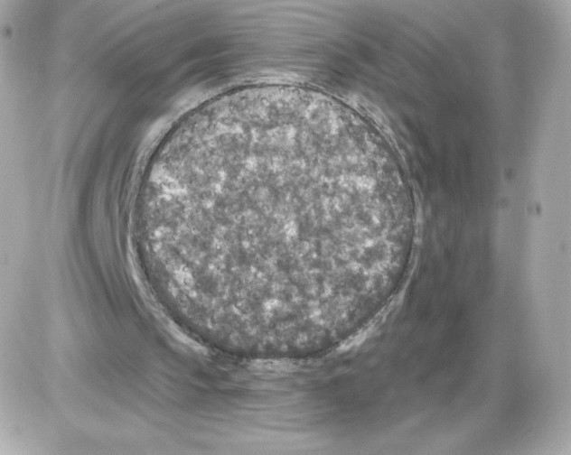 X0000085260145200704092123