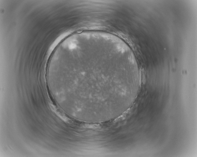 X0000085260147200704092123