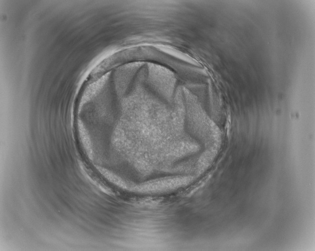 X0000085260148200704092123