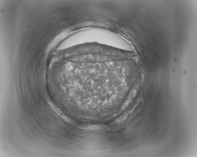 X0000085260149200704092123