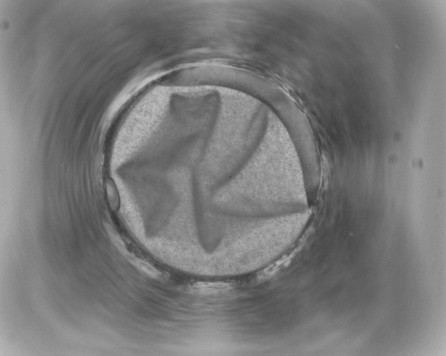 X0000085260150200704092123