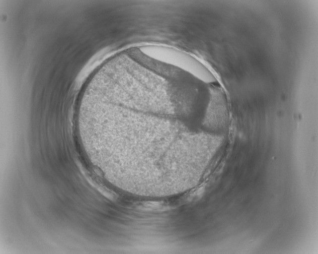 X0000085260151200704092123