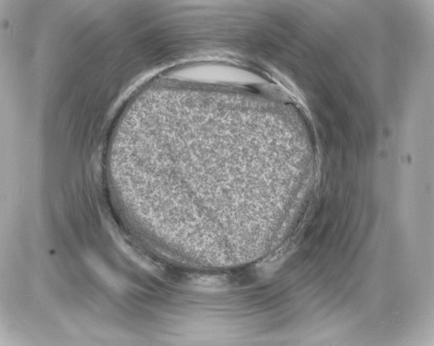 X0000085260155200704092123