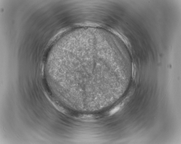 X0000085260157200704092123