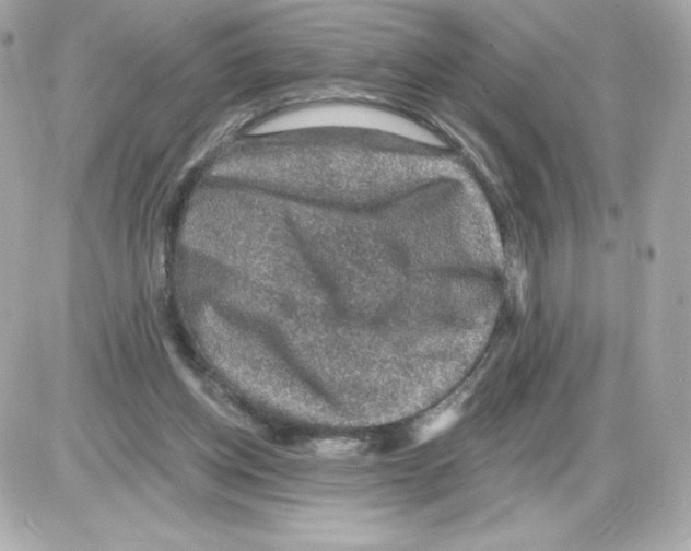 X0000085260158200704092123