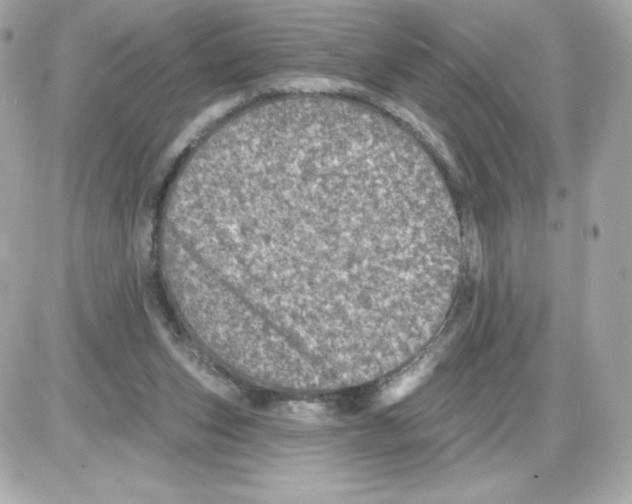 X0000085260159200704092123