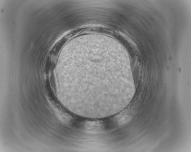 X0000085260160200704092123