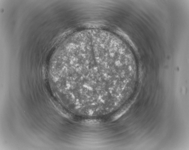 X0000085260161200704092123