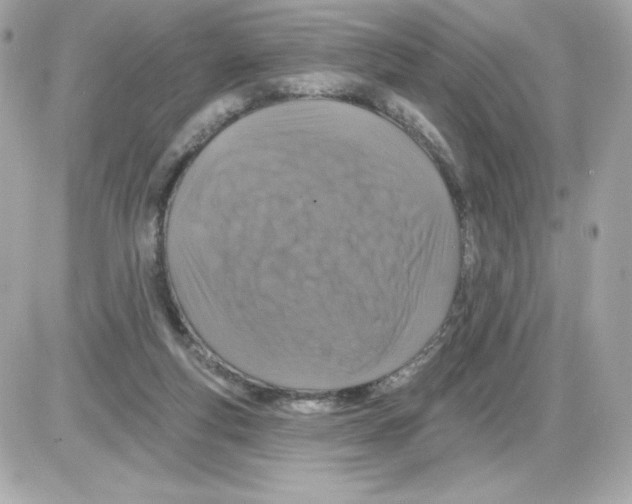 X0000085260163200704092123