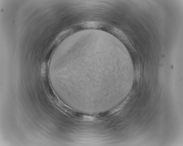 X0000085260167200704092123