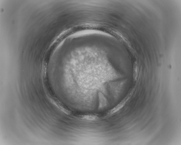 X0000085260168200704092123