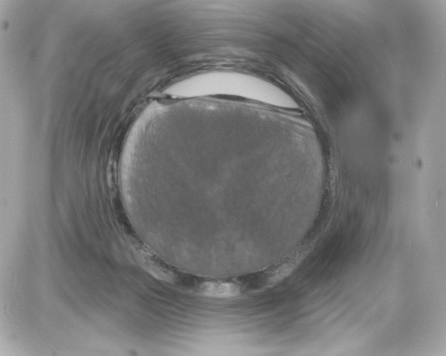 X0000085260169200704092123