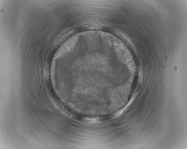 X0000085260170200704092123