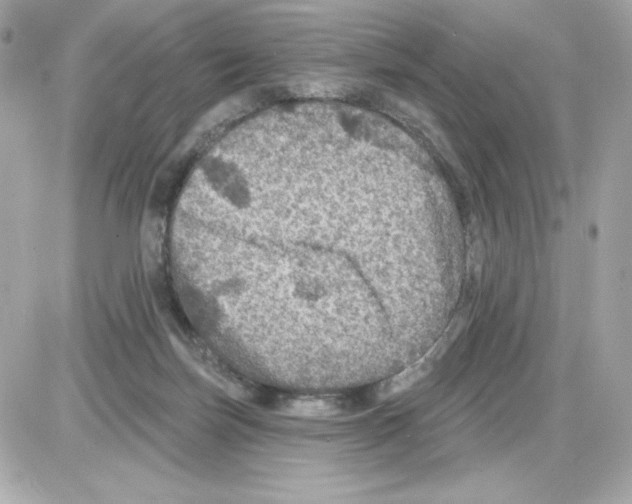 X0000085260171200704092124