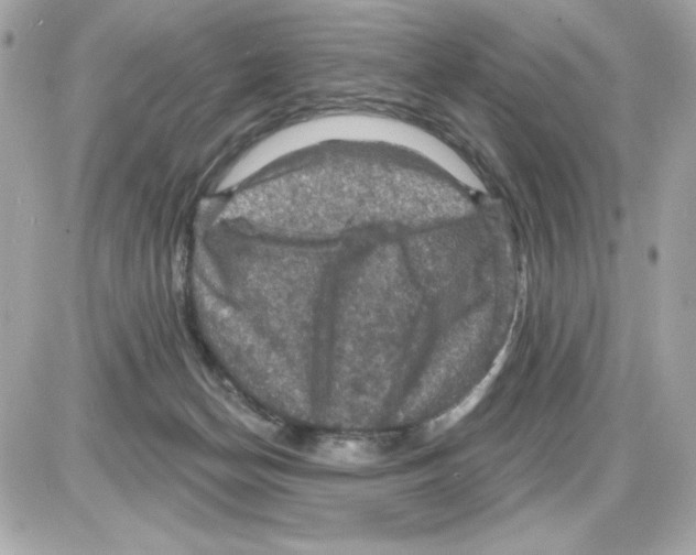 X0000085260174200704092124