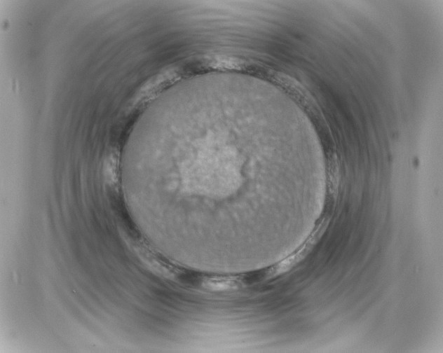 X0000085260175200704092124