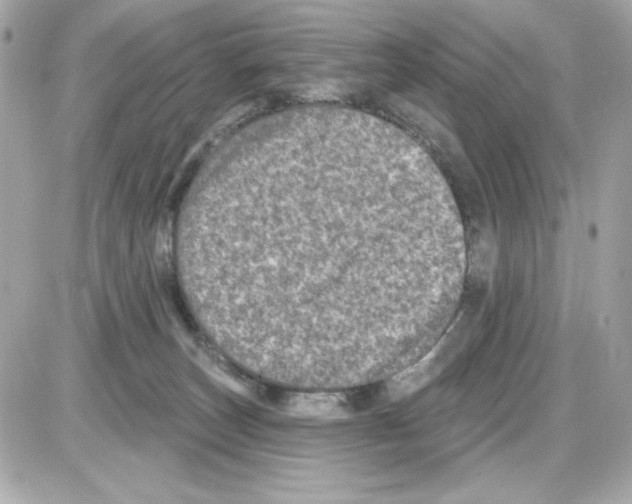 X0000085260179200704092124