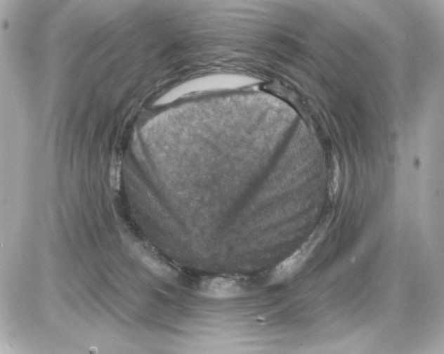 X0000085260180200704092124