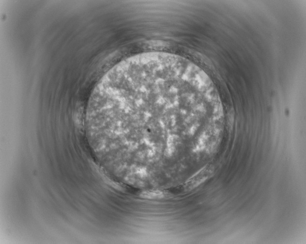 X0000085260181200704092124