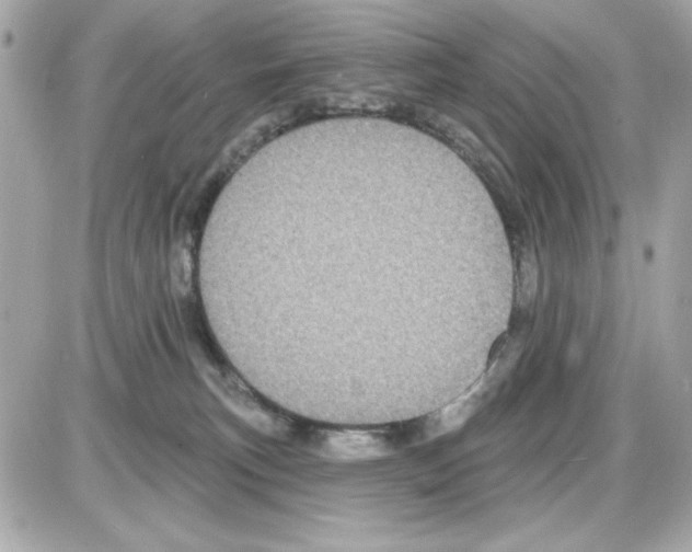 X0000085260183200704092124