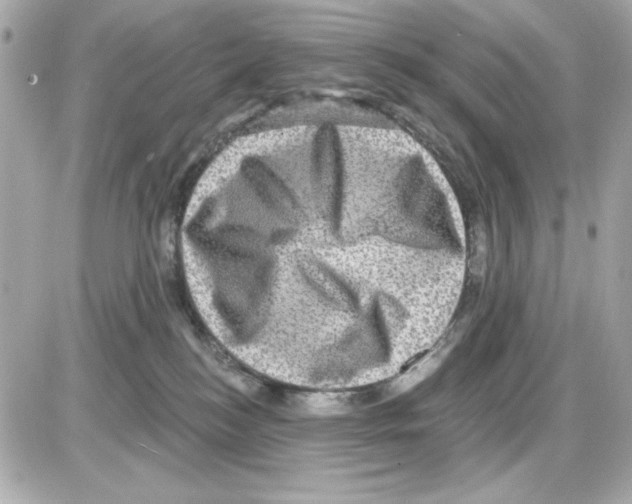 X0000085260184200704092124