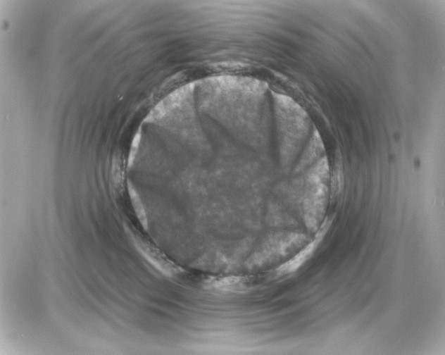 X0000085260186200704092124