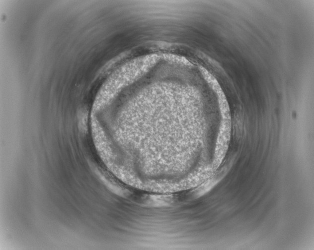 X0000085260188200704092124