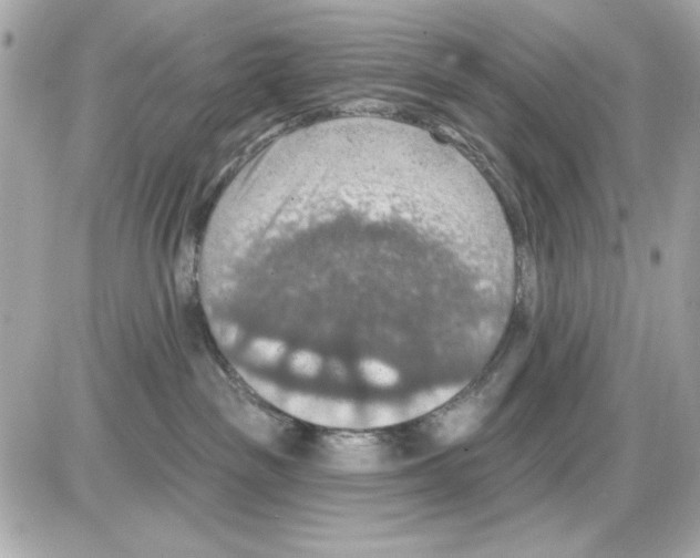 X0000085260189200704092124