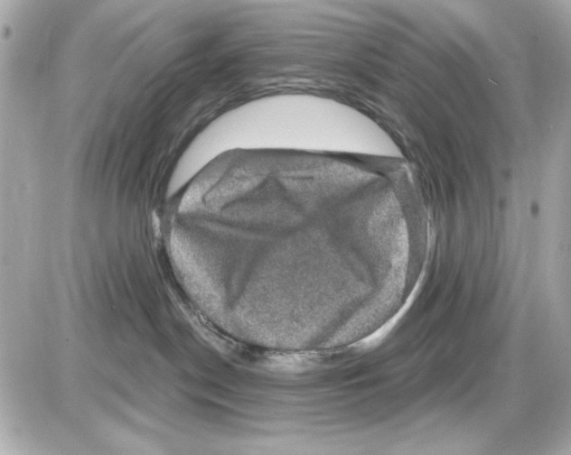 X0000085260190200704092124