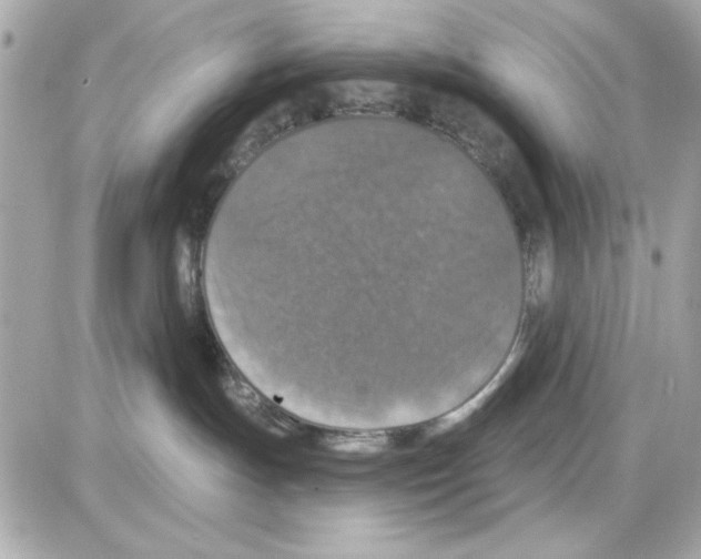 X0000085260191200704092124