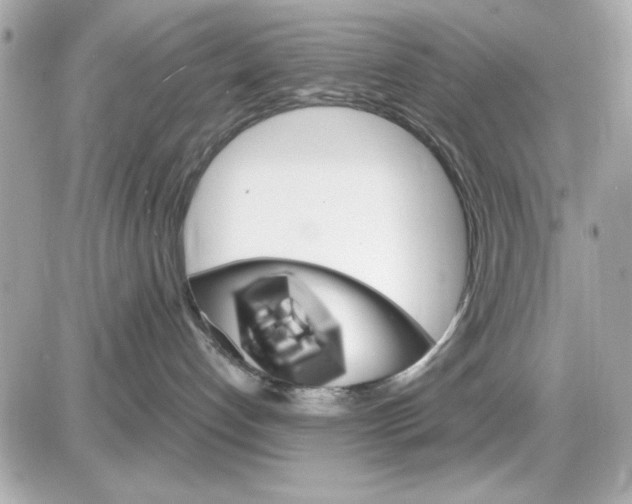 X0000085260192200704092124