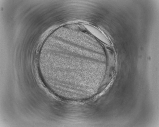 X0000085260193200704092123