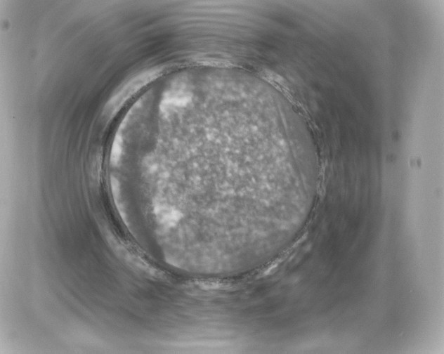 X0000085260194200704092123