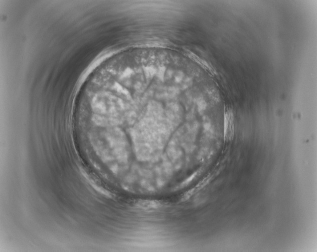 X0000085260195200704092123